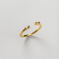 DOURADO
